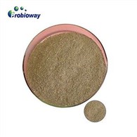 ব্যাসিলাস পুমিলাস পশুখাদ্য